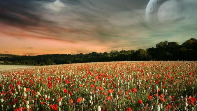 支撑了我四年学费的男朋友，现在该分手吗?